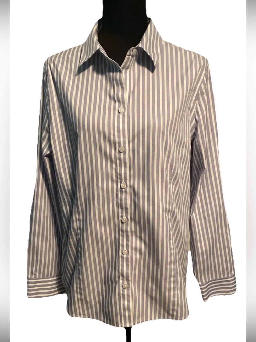 Chico’s Size 2 (large) No Iron Coolmax All Season Button LS Top Blue White EUC